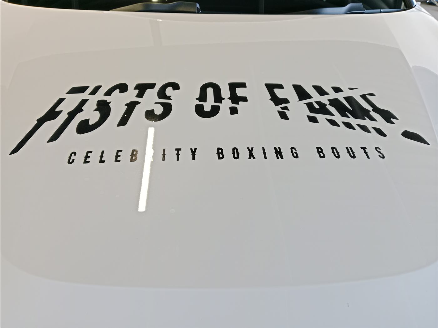 BMW West Rand Fists of Fame celebrity boxing event decal